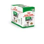 Pâtée chien mini Age12+ sauce 12X85G ROYAL CANIN