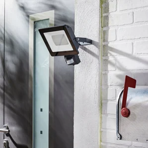 Projecteur détecteur extérieur led intégrée 4000 lm anthracite YONKERS INSPIRE