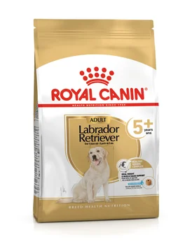 Croquette chien Labrador Adult5+ 12Kg ROYAL CANIN