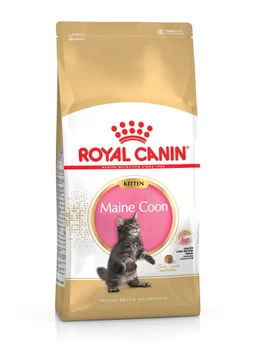 Croquette  chat Maine Coon Kitten 2Kg ROYAL CANIN