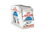 Pâtée Chat Indoor Sauce 12X85G ROYAL CANIN