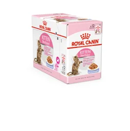 Pâtée chat Kitten Sterilised Gelee 12X85G ROYAL CANIN