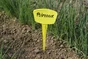 Lot De 5 Étiquettes À Planter Jaune Nortene, H.25 Cm
