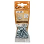 Lot De 10 Boulons Tête Ronde Acier Zingué, L.25 X Diam.6 Mm Standers