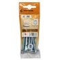 Lot De 6 Boulons Tête Ronde Acier Zingué, L.50 X Diam.6 Mm Standers