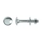Lot De 4 Boulons Tête Ronde Et Cou Carré Acier Zingué, L.50 X Diam.6 Mm Standers