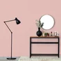 Peinture Mur, Boiserie, Radiateur   Ripolin Rose Jabadao Satiné 0.5 L