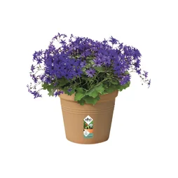 Pot Polypropylène Pot Elho Diam.27 X H.24.8 Cm Terre Cuite Doux