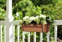 Balconnière Polypropylène Pot Elho L.16.5 X L.49 X H.13.7 Cm Terre Cuite Doux