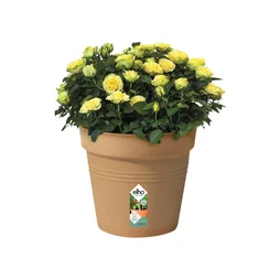 Pot Polypropylène Pot Elho Diam.39.9 X H.36.8 Cm Terre Cuite Doux