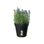 Pot Plastique Elho Diam.17 L.17 X L.17 X H.15.6 Cm Noir