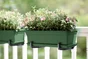Balconnière Polypropylène Pot Elho L.16.5 X L.49 X H.13.7 Cm Leaf Green