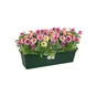 Balconnière Polypropylène Pot Elho L.16.5 X L.49 X H.13.7 Cm Leaf Green