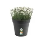 Pot Plastique Elho Diam.30 L.30 X L.30 X H.27.6 Cm Noir
