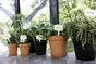 Pot Plastique Elho Diam.30 L.30 X L.30 X H.27.6 Cm Noir