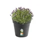 Pot Plastique Elho Diam.35 L.35 X L.35 X H.32.2 Cm Noir
