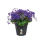 Pot Plastique Elho Diam.27 L.27 X L.27 X H.24.8 Cm Noir