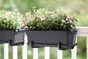 Balconnière Polypropylène Pot Elho L.16.5 X L.49 X H.13.7 Cm Living Noir
