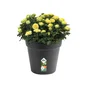 Pot Plastique Elho Diam.39.9 L.39.9 X L.39.9 X H.36.8 Cm Noir