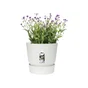 Pot Polypropylène Elho Greenville, Diam.29.5 X H.27.8 Cm, Blanc