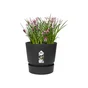 Pot Polypropylène Elho Greenville Diam.29.5 X H.27.8 Cm, Living Noir