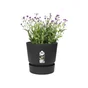 Pot Polypropylène Elho Greenville, Diam.39 X H.36.8 Cm, Living Noir