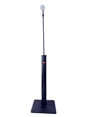 Douche solaire droit BESTWAY en pvc noir, 10 l