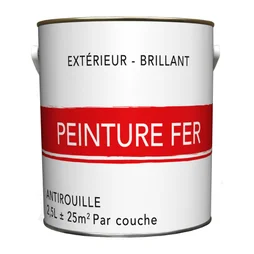 Peinture Fer Extérieur Noir Glossy 2.5 L