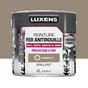 Peinture Fer Extérieur Luxens Trench 3 Glossy 2 L