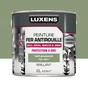 Peinture Fer Extérieur Luxens Vert Provence Glossy 2 L