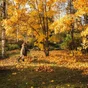 Balai À Feuilles Fiskars L.172 Cm