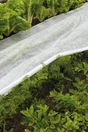Voile De Croissance Geolia, 1.6 X 10 M