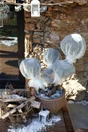 Voile d'hivernage, GEOLIA, 30G/M2, 2 x 10m