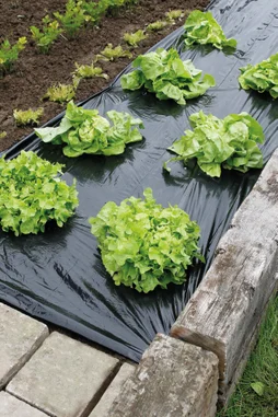 Film De Paillage Potager Geolia, 94 G/M², 1.4 X 5 M