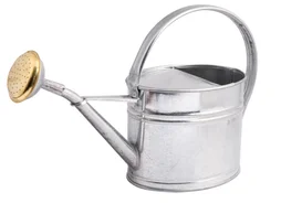 Arrosoir en acier galvanisé avec pomme, GUILLOUARD, 1.75 litres