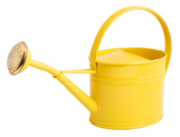 Arrosoir en acier galvanisé avec pomme GUILLOUARD, 1.75 litres,  jaune citron