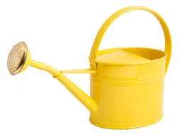 Arrosoir en acier galvanisé avec pomme GUILLOUARD, 1.75 litres,  jaune citron