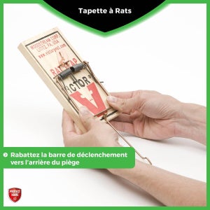 Tapette antirats bois PROTECT EXPERT