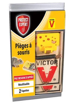 Lot de 2 tapettes anti-souris bois PROTECT EXPERT