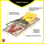 Lot de 2 tapettes anti-souris bois PROTECT EXPERT