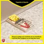 Lot de 2 tapettes anti-souris bois PROTECT EXPERT