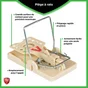 Lot de 2 tapettes anti-rats plastique PROTECT EXPERT