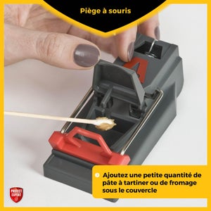 Lot de 3 pièges anti-souris plastique PROTECT EXPERT