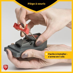 Lot de 3 pièges anti-souris plastique PROTECT EXPERT