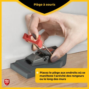 Lot de 3 pièges anti-souris plastique PROTECT EXPERT
