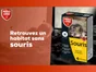 Pâte antisouris PROTECT EXPERT, 120g