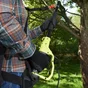 Combi Élagueuse Et Taille-Haies Sur Perche Électrique Ryobi Rp750450