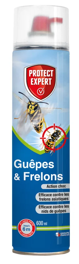 Insecticide aérosol guêpes et frelons, 600 ml