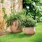 Pot En Terre Cuite Deroma, Diam. 38 X Haut. 28 Cm, Terre Cuite Rosée