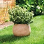 Pot En Terre Cuite Deroma, Diam. 38 X Haut. 28 Cm, Terre Cuite Rosée